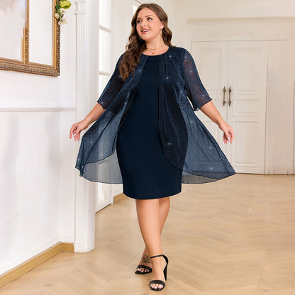 Plus Size Silver Shiny Mesh Elegant Dress