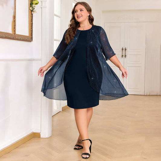 Plus Size Silver Shiny Mesh Elegant Dress