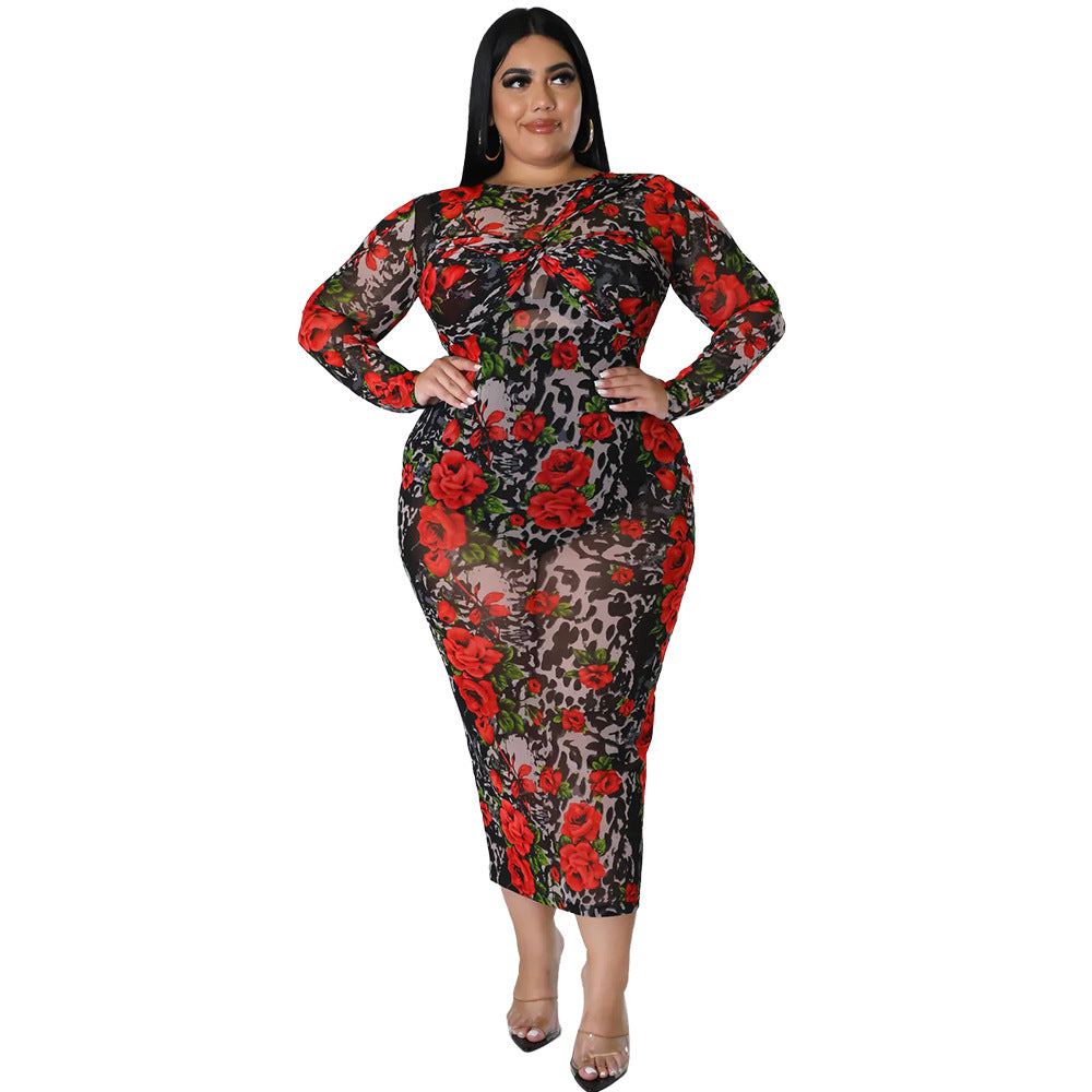 Round-neck Stretchy See-through Sheath Dress With A Printed Design