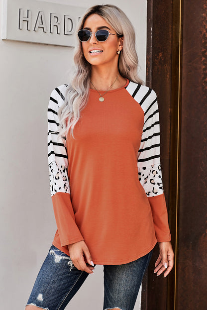 Leopard Panel Striped Raglan Sleeve Top