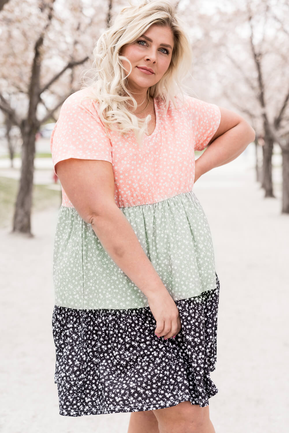 Plus Size Ditsy Floral Color Block Shift Dress